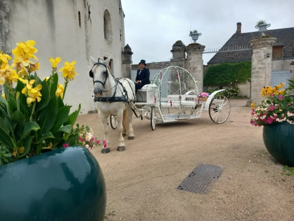 ATTELAGES  JL MARGUERY 