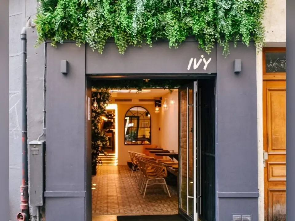 Ivy