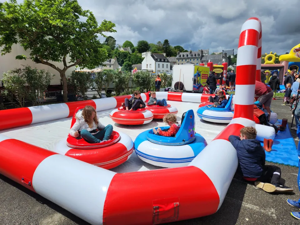 AL CALONE LOISIRS 29