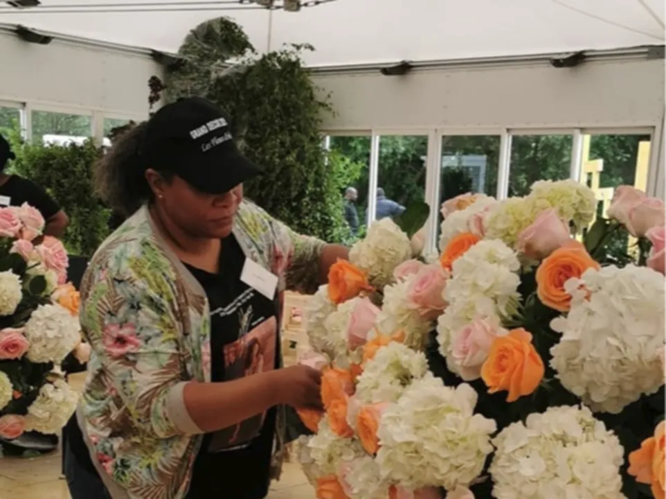 HARMONY EVENTS