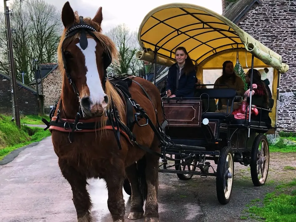 LES CALÈCHES DE BARENTON