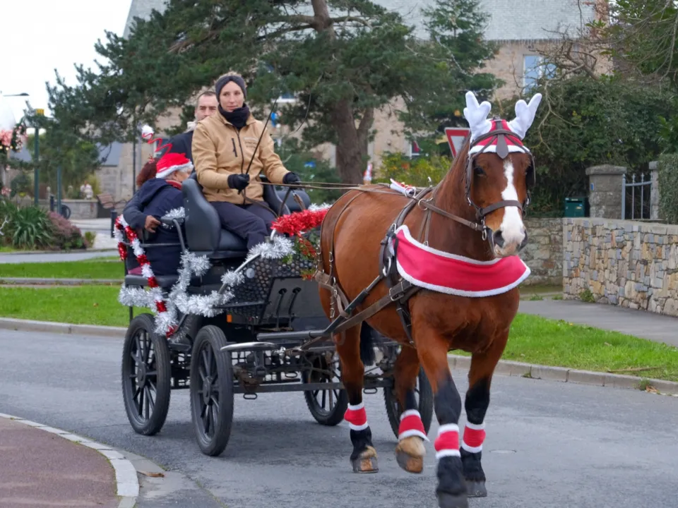 MARIE TRAVERT - ATTELAGE ENTRE TERRE ET MER