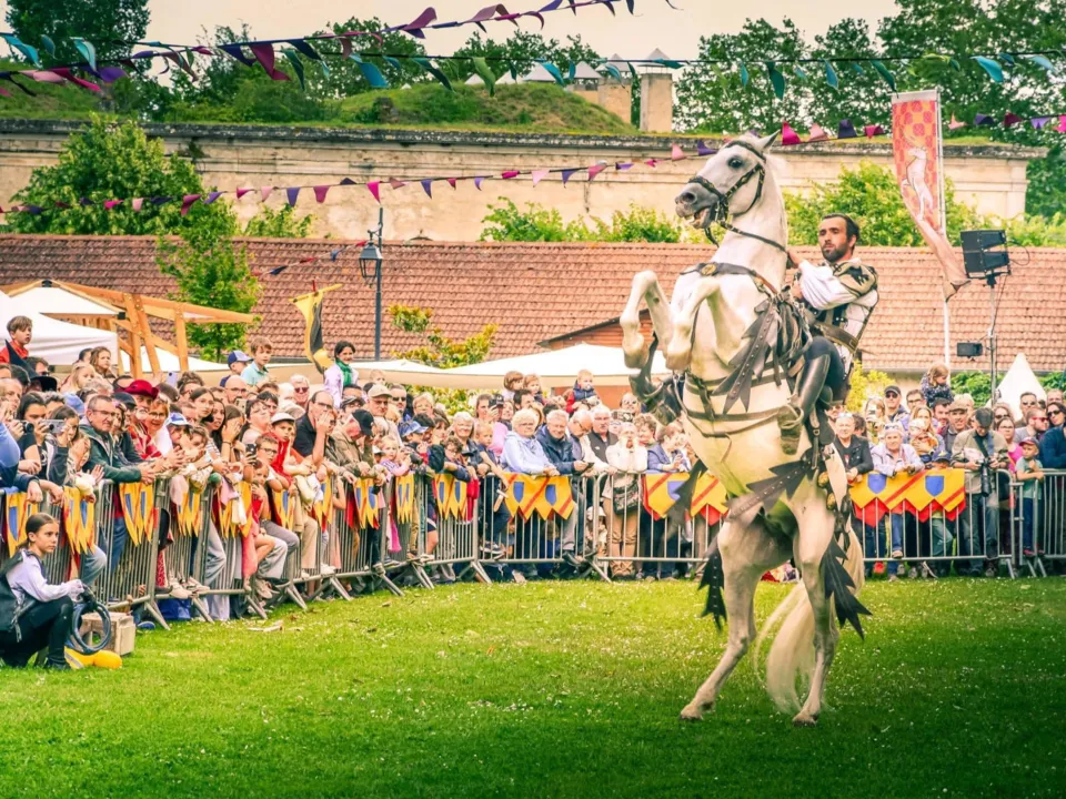 MJ Horses Events