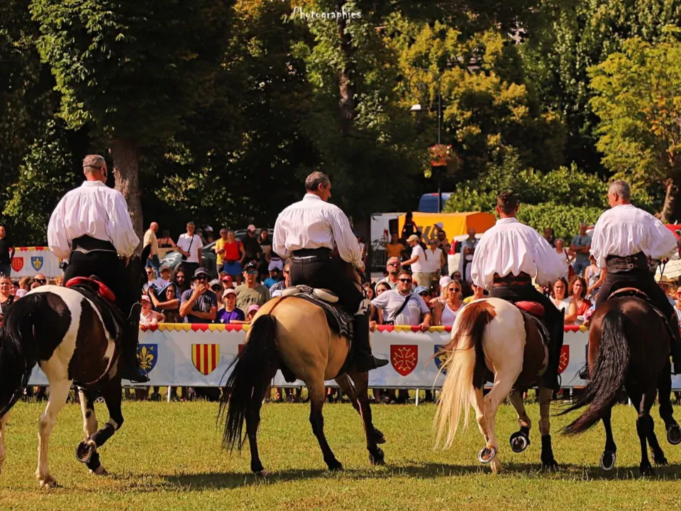 CHEVAUX DE PRESTIGE