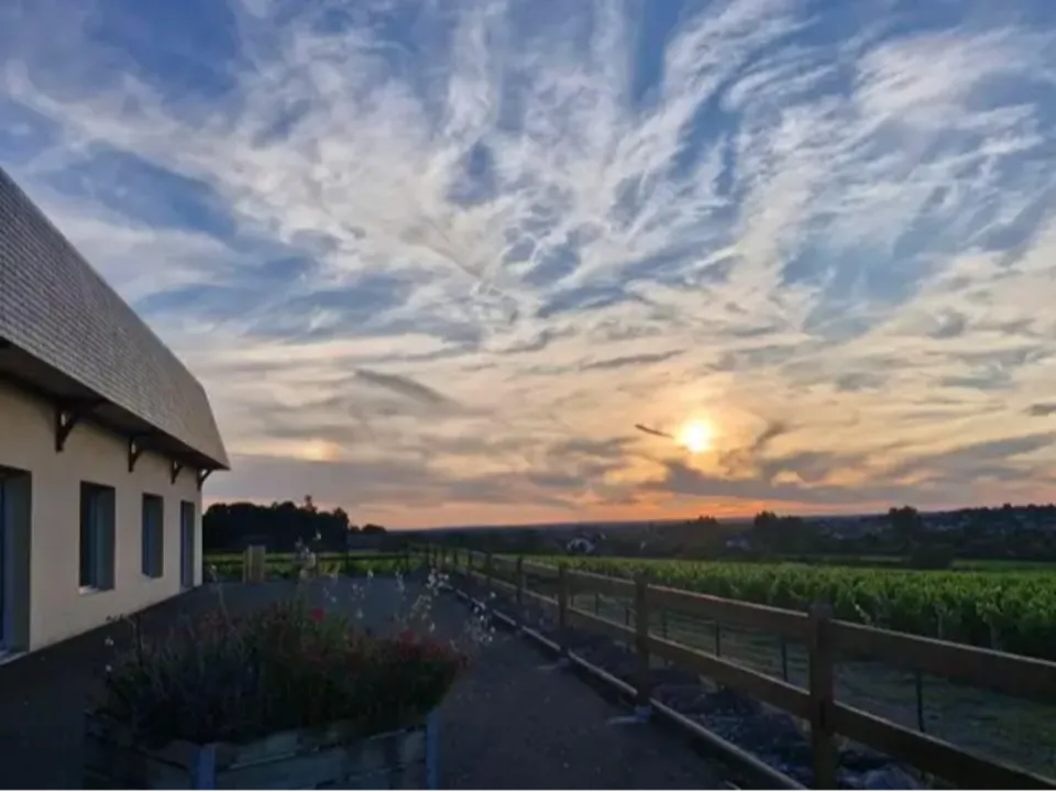 Domaine Delaunay