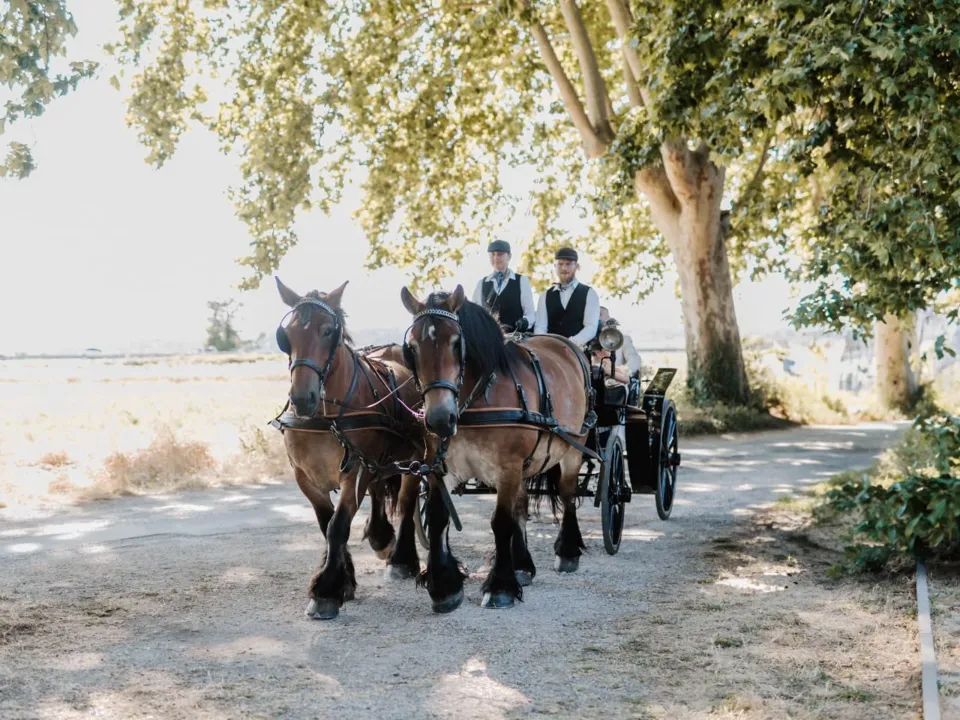 DOMAINE DE FLORIVAL