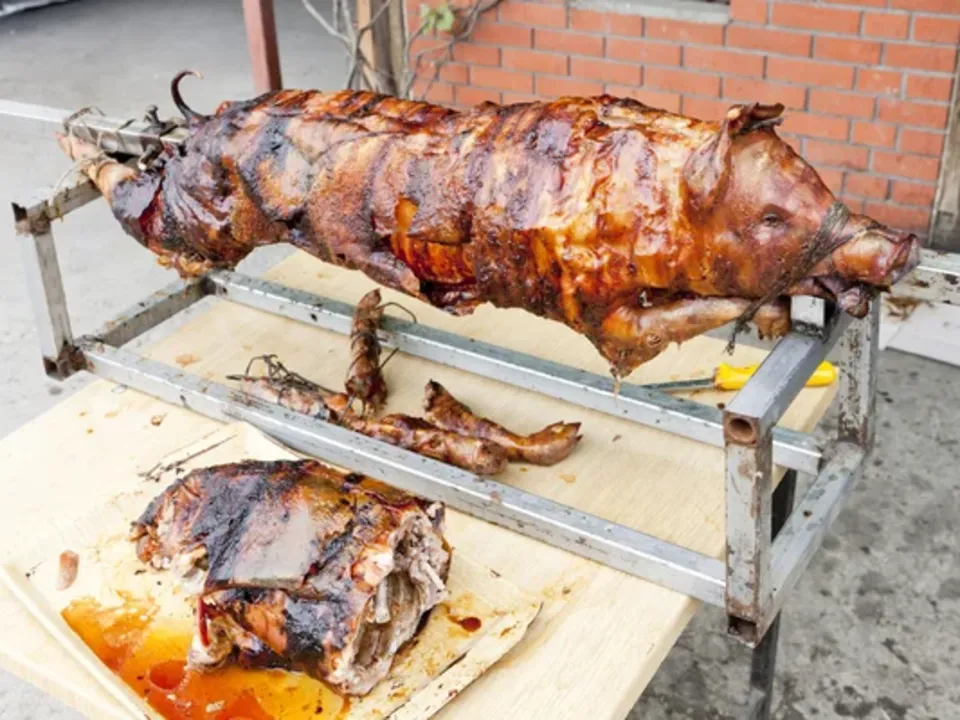 Fous de Cochon