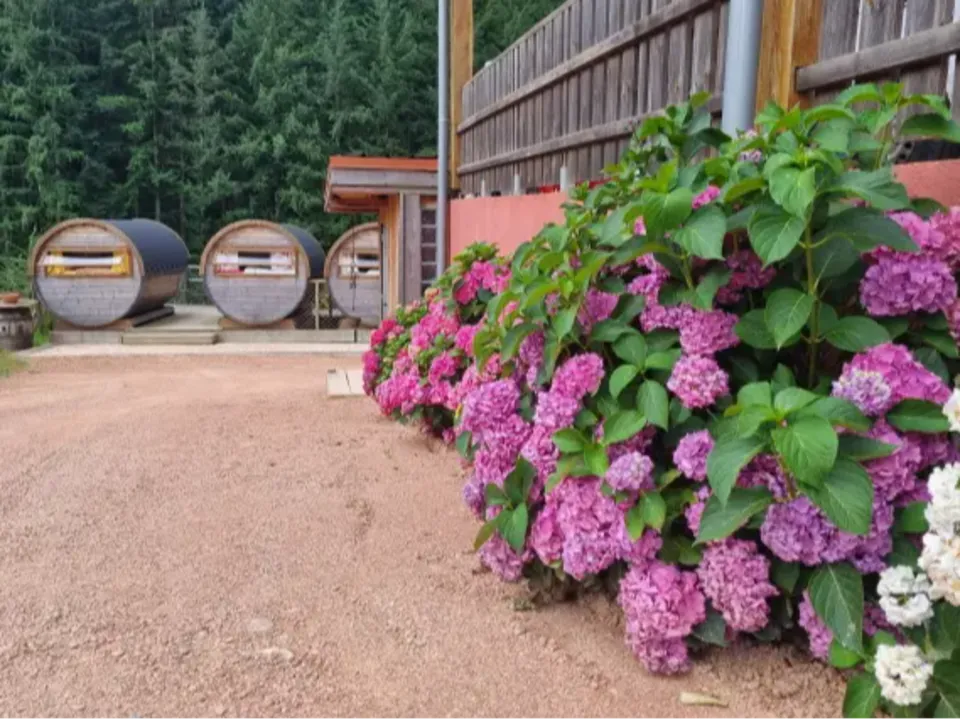 Domaine de Montfriol