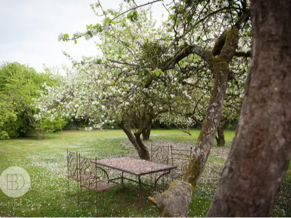 DOMAINE DE LA PÉPINIÈRE