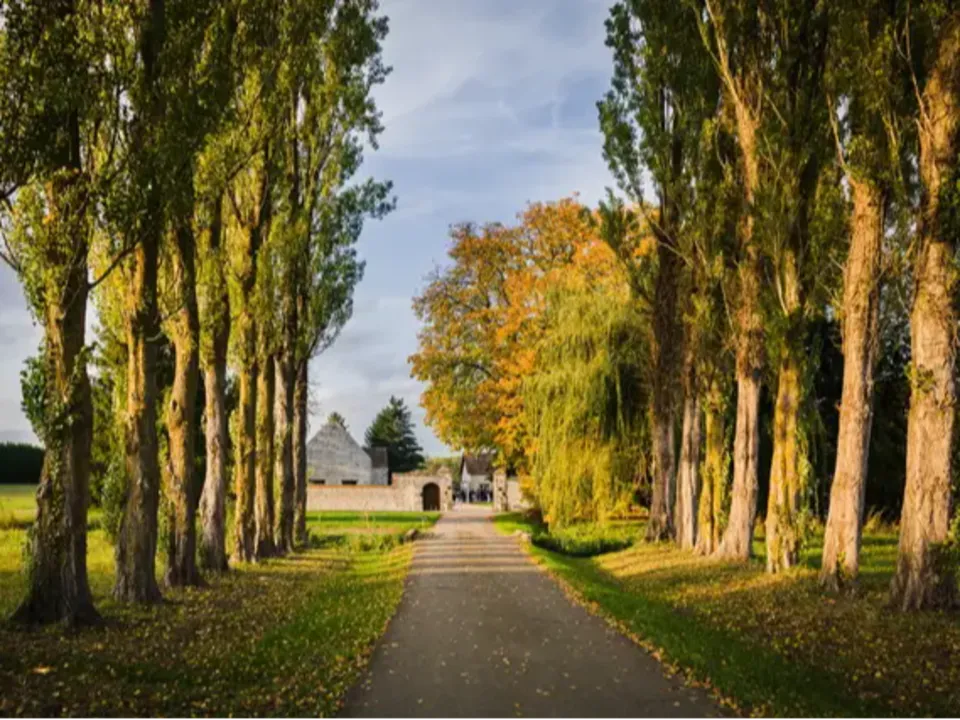 DOMAINE DE LA THIBAUDIÈRE