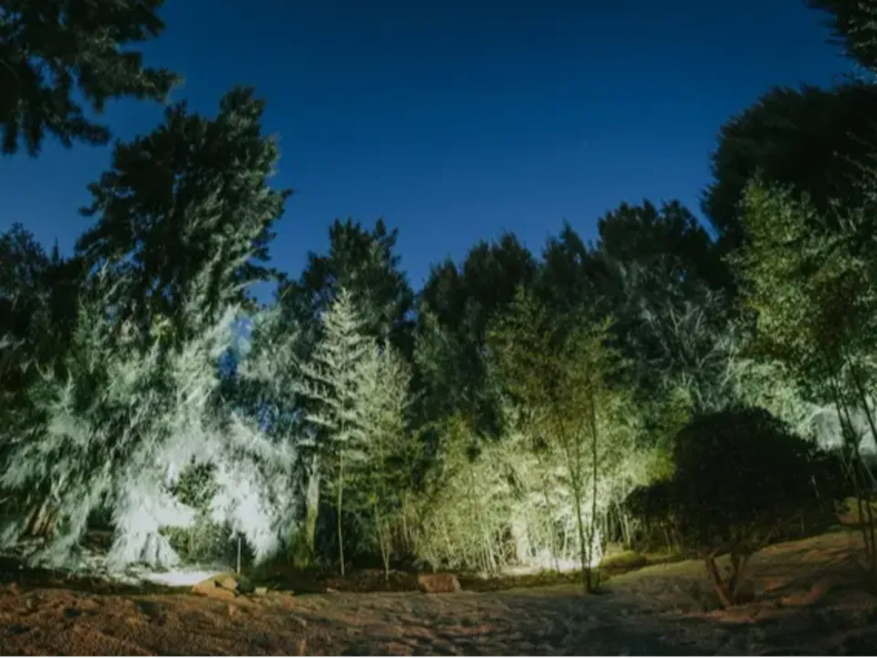 Le Jardin d'Ariane