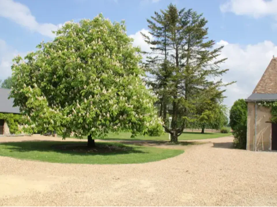 Domaine de Bissé