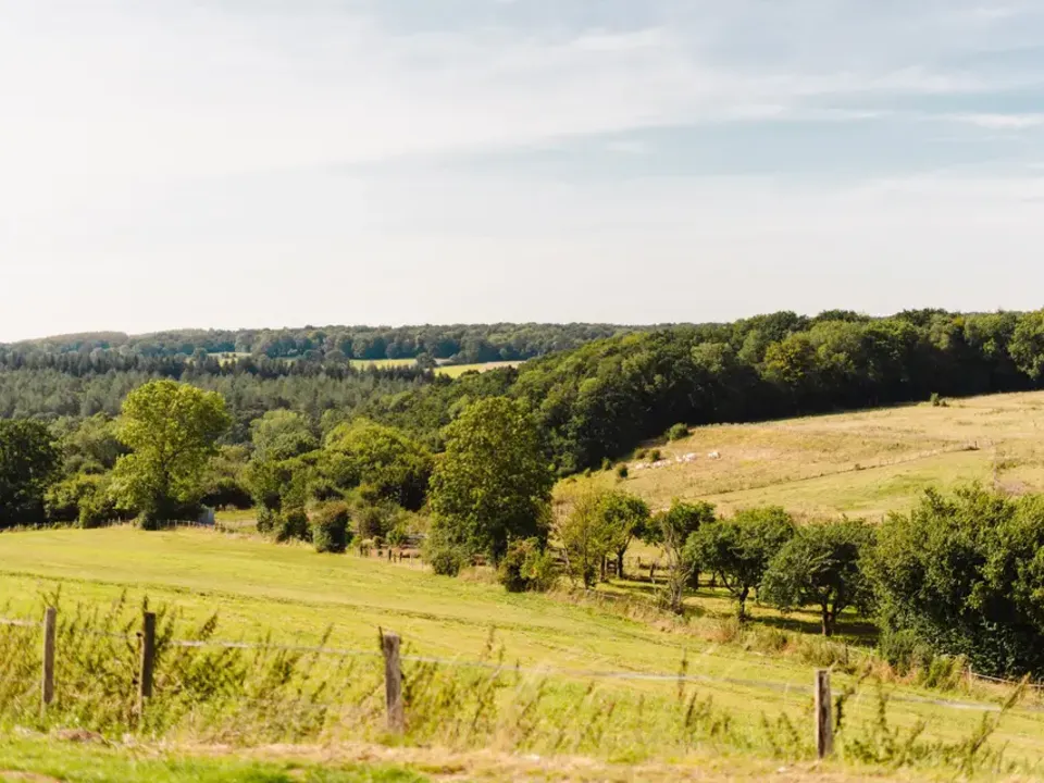 DOMAINE DES MASSINOTS