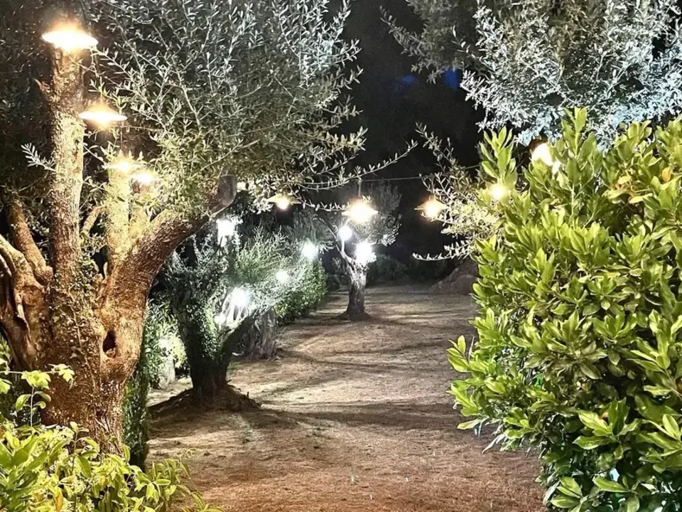 Domaine Cappa