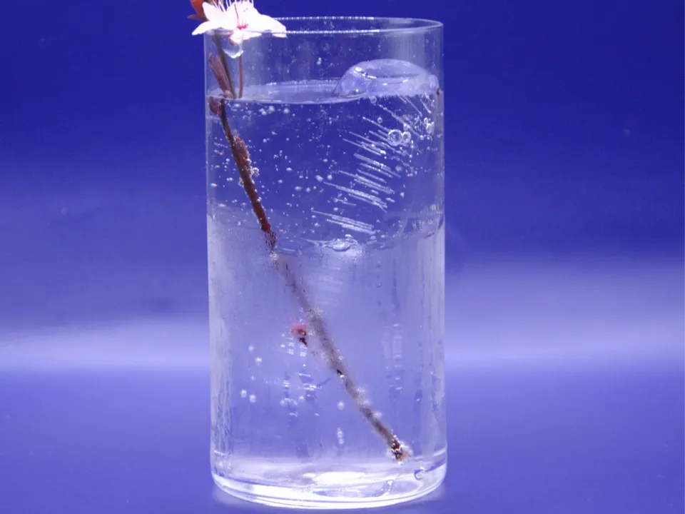 Sabulle cocktail