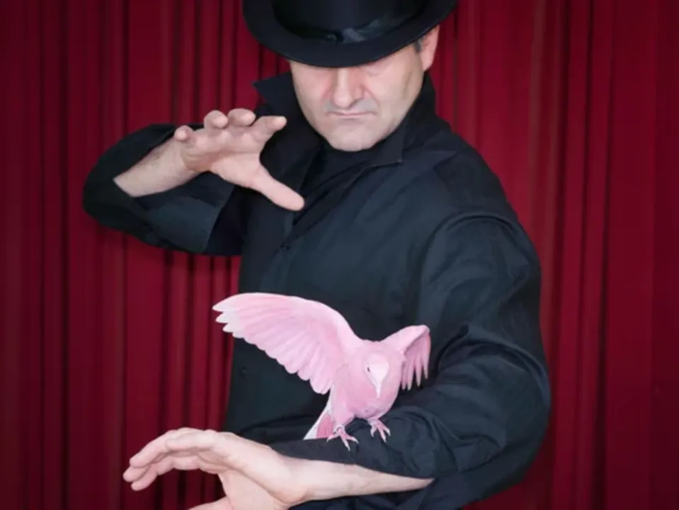 COCODENOIX ANIMATION MAGIQUE