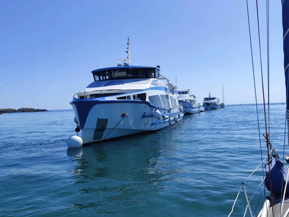 VEDETTES JOLIE FRANCE