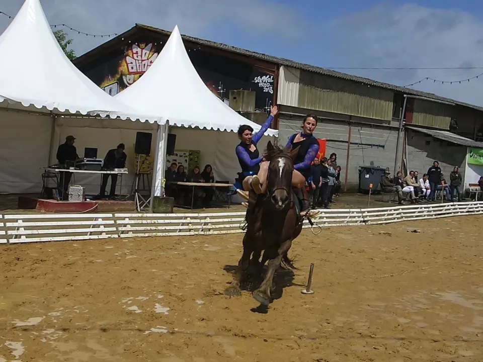 TERRE DE CHEVAL