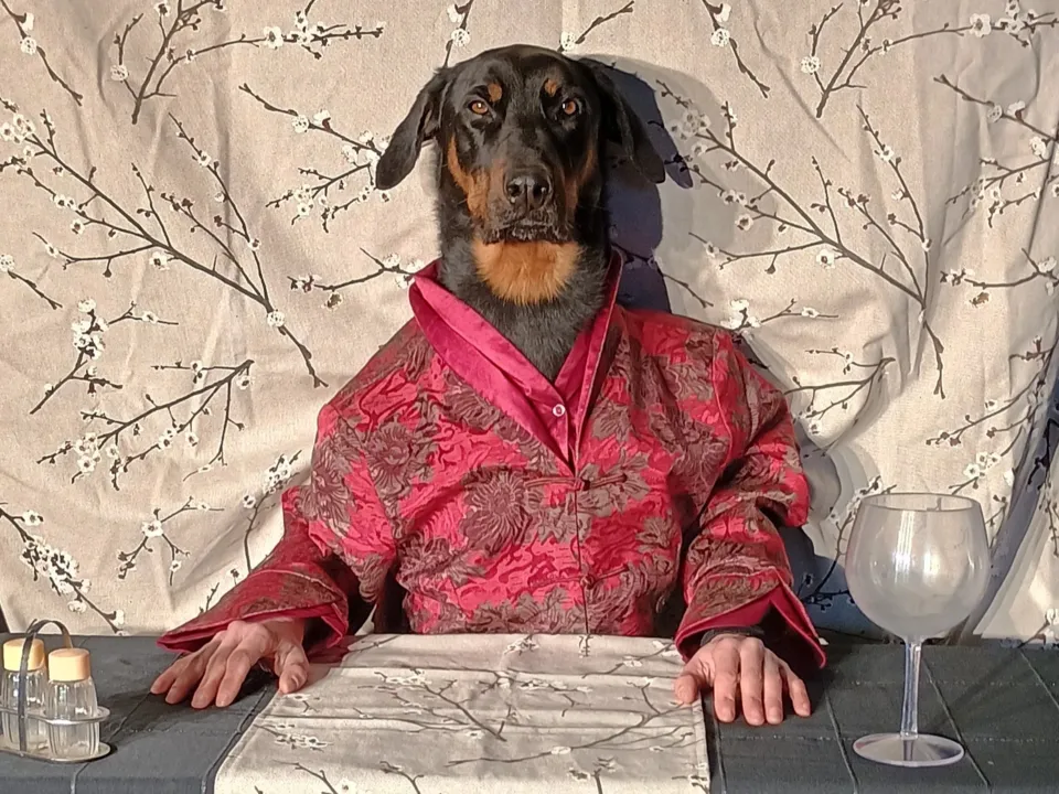 ASSOCIATION LES EFFILOCHÉS