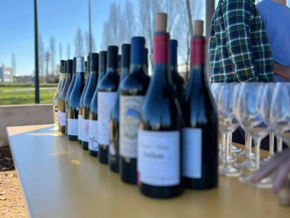 CHEZ PILOU - CAVE À VINS 