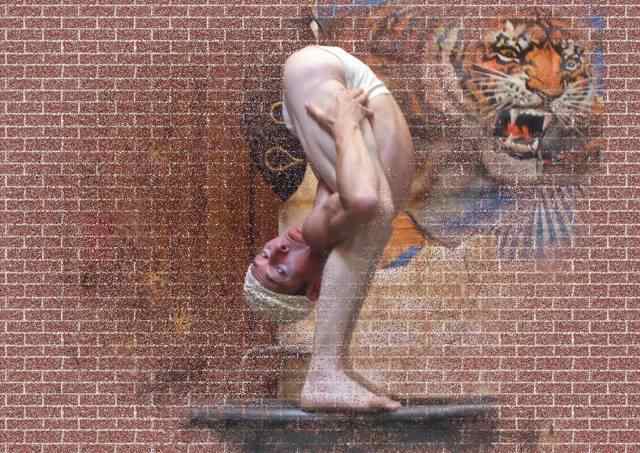dubalai circus