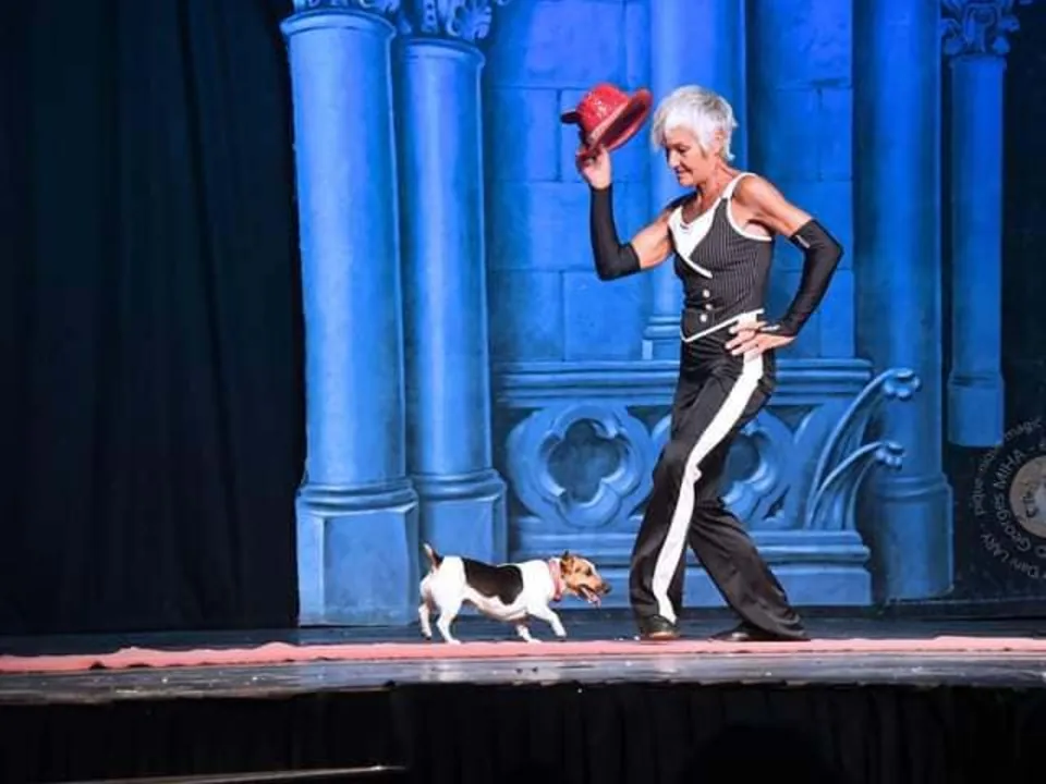 DOGGIESDANCETHEATERSHOW