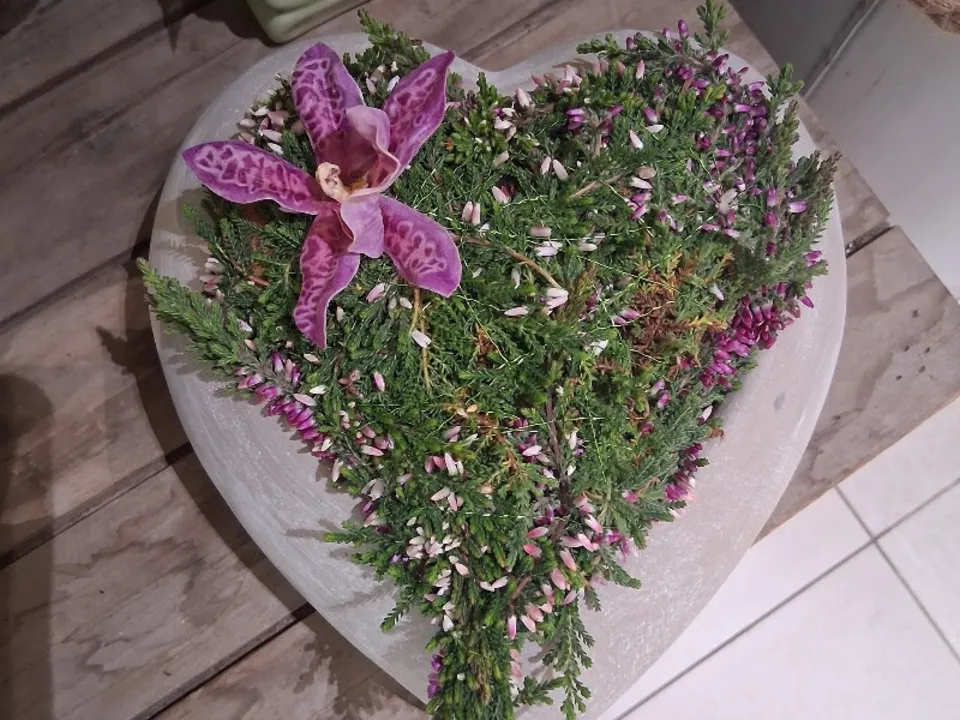 MIMOSA'IK