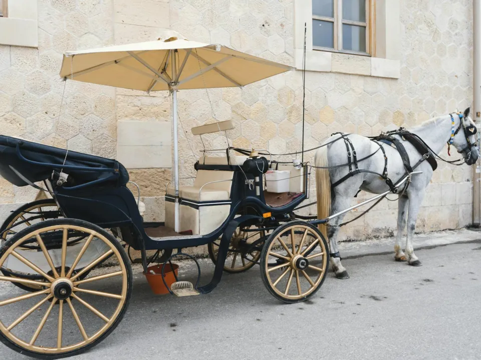 LES ATTELAGES DU PIOU