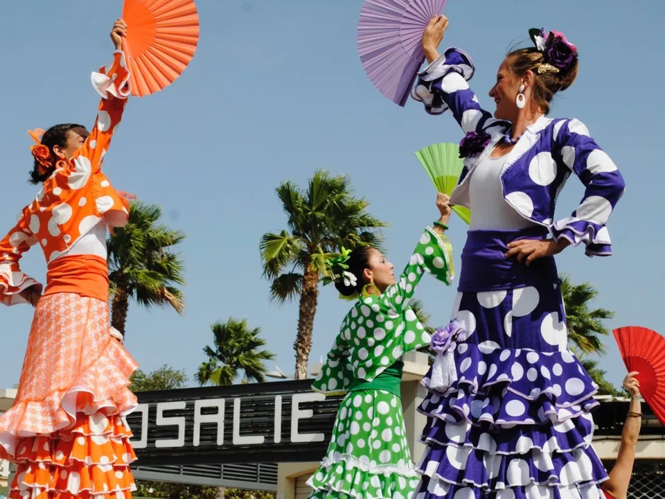 ZACK&NESS SPECTACLES