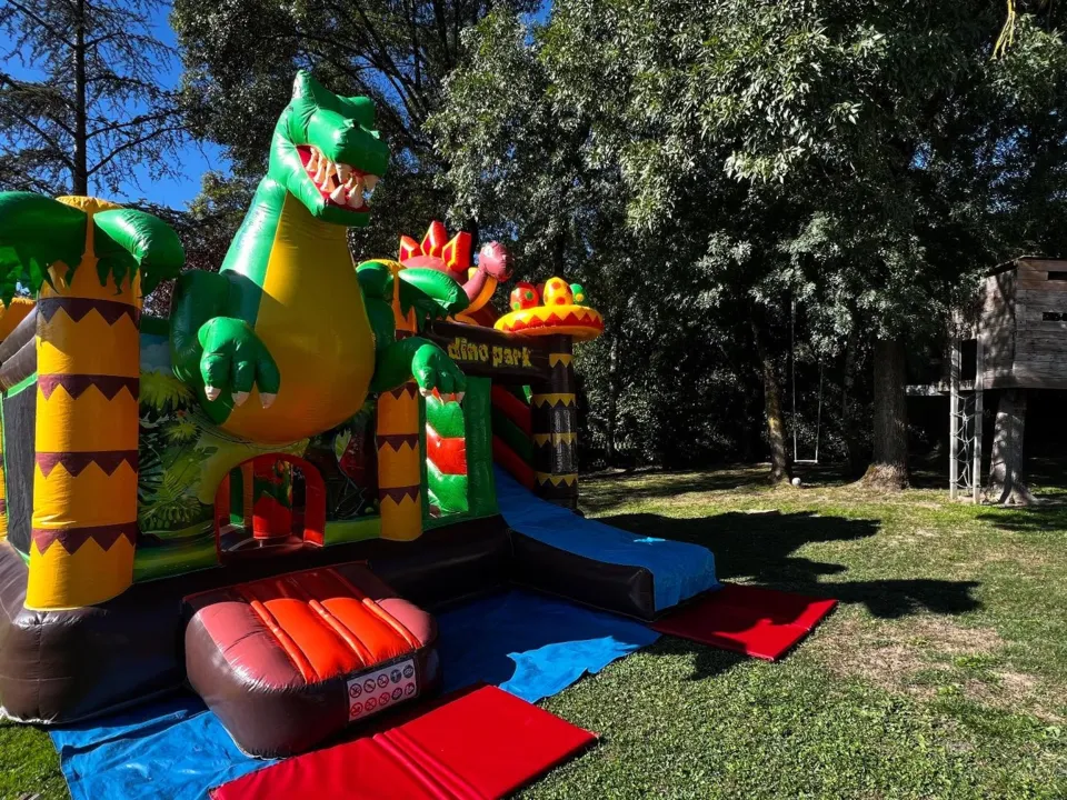 PETITES PUCES LOCATION DE STRUCTURES GONFLABLES