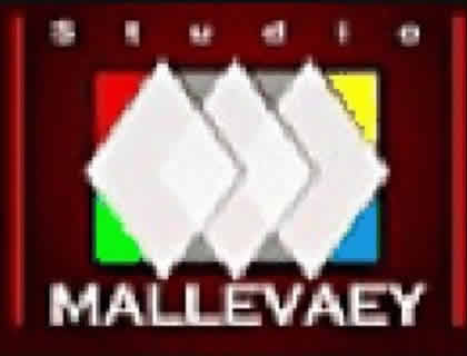 STUDIO MALLEVAEY