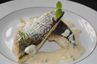 TRAITEUR LES 4 SAISONS