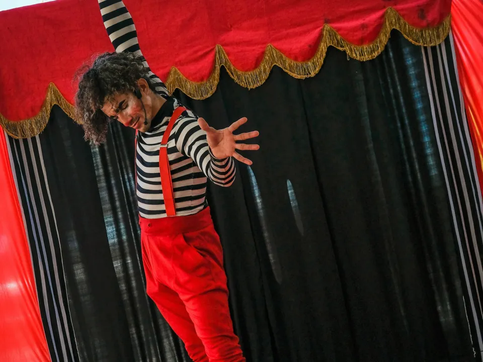 MOUCHE LE CLOWN