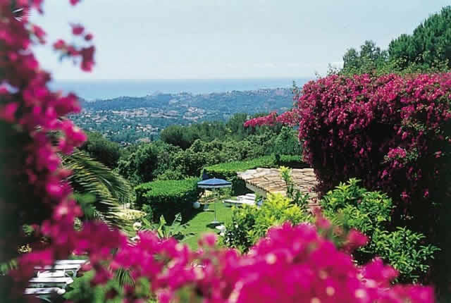 Riviera Incentive