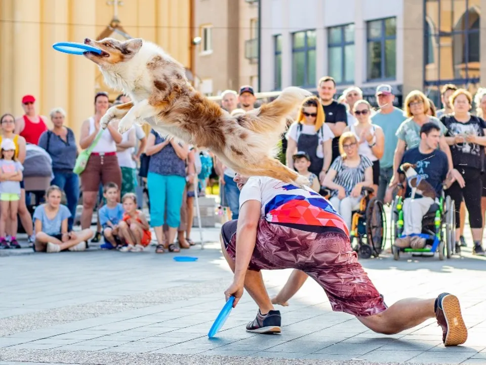 DOGGIES DANCE