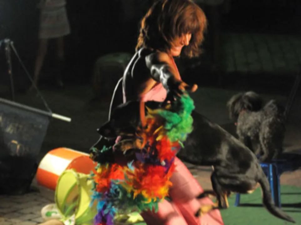 DOGGIES DANCE