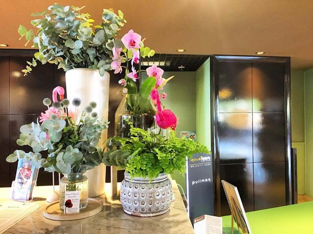 NATURE & COQUELICOTS