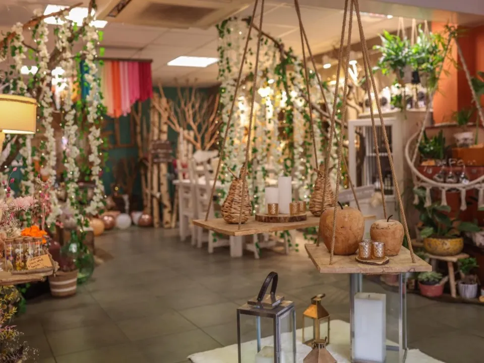 NATURE & COQUELICOTS