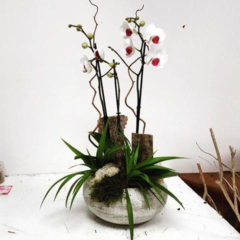 NATURE ET FLEURS