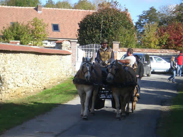 Les Attelages de Verzenay