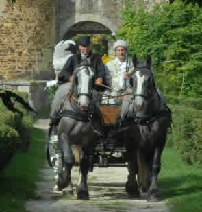 ferme itinerante du chaineau