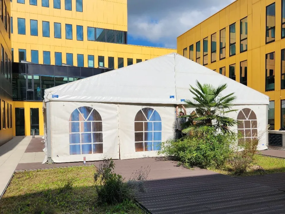 Chapiteaux du Lion 