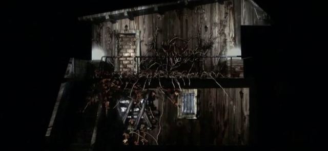 OCELIA - PROJECTION MAPPING