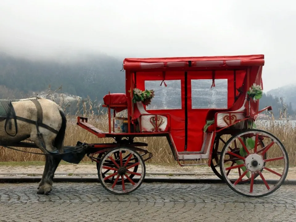 LES ATTELAGES DU BOIS DE LA BASTIDIÈRE