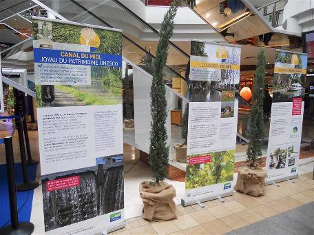 Plantes naturelles & vertes pour bureau à Montpellier - Florabora