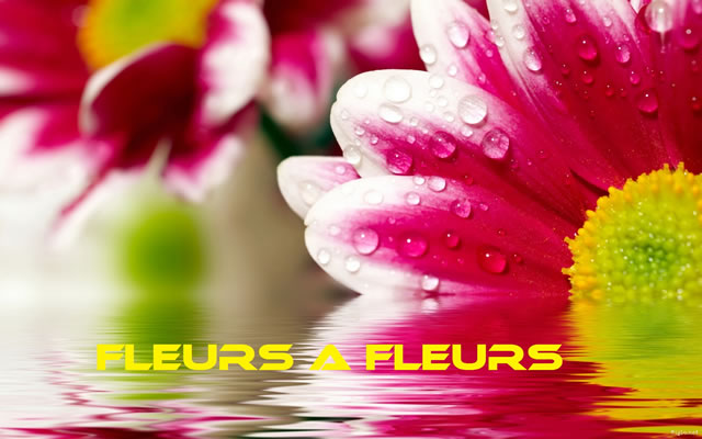 FLEURS A FLEURS