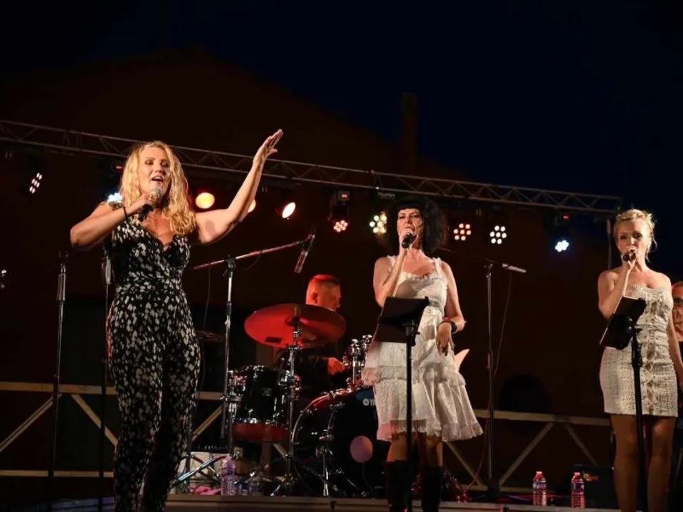 PREMIUMLIVE ANIMATIONS CONCERTS & SPECTACLES