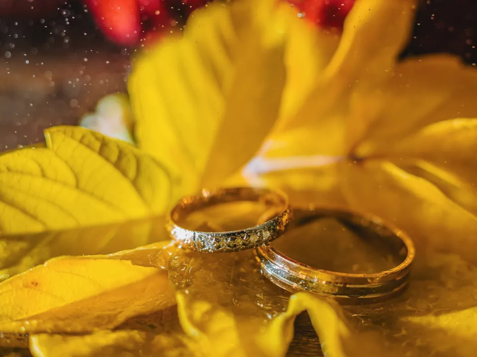 BIJOUTERIE HORLOGERIE BERTHOU