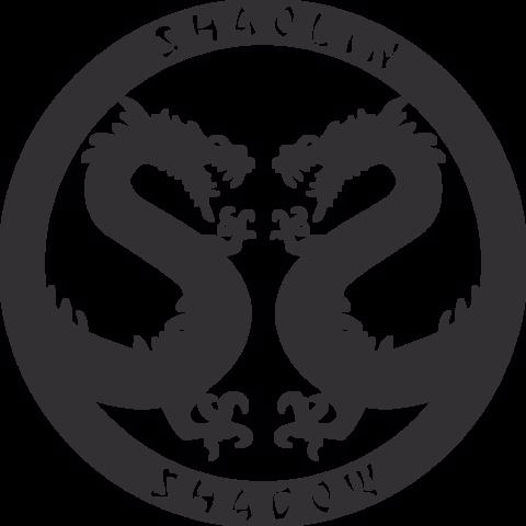 Shaolin Shadow