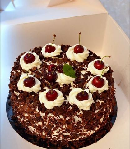 LES DÉLICES DE KRISTINA